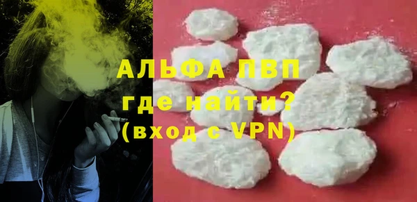 стафф Арсеньев