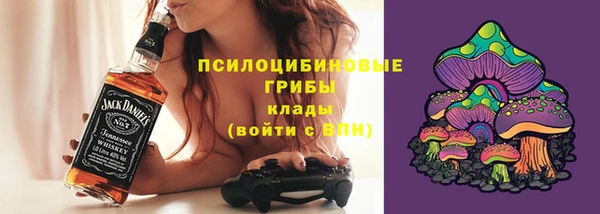 стафф Арсеньев