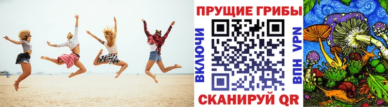 Галлюциногенные грибы Psilocybine cubensis  Сортавала 